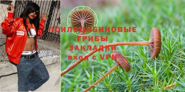 не бодяженный Балахна