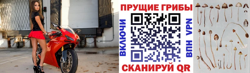 KRAKEN маркетплейс Стрежевой Галлюциногенные грибы MAGIC MUSHROOMS